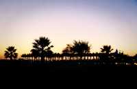 多哈夜遊攻略｜走進現實版阿拉丁神燈世界