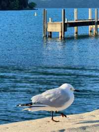 新西蘭夏天yyds!比冬天還要驚艷100倍的絕美玩法