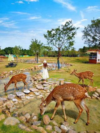 Guangzhou's version of Anaya! Winter prosperity + cattle and sheep ranch are so healing!