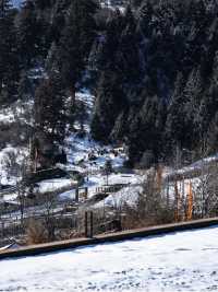 有美隱宿|闖入九寨溝的冬日冰雪詩畫境