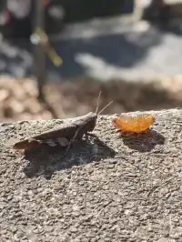 莫干山太美了 好棒完成人生第一次徒步