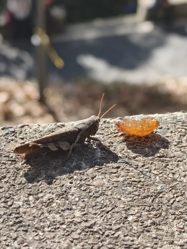 莫干山太美了 好棒完成人生第一次徒步 莫干山太美了 好棒完成人生第一次徒步
