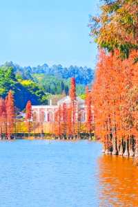 廣州周邊2h逃離城市，闖入秋日浪漫