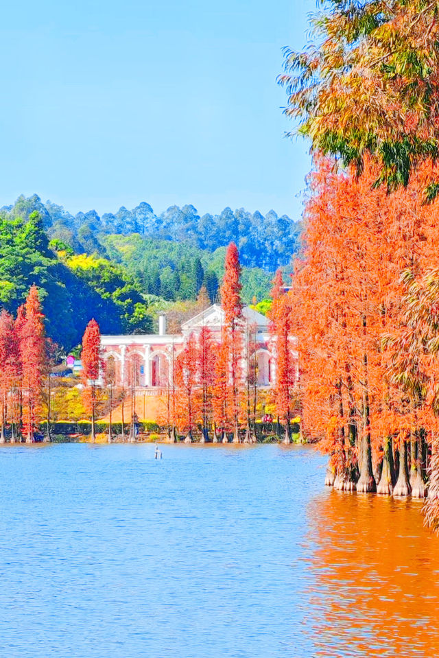 廣州周邊2h逃離城市，闖入秋日浪漫