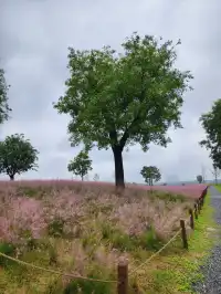 西安 國慶四天五夜遊