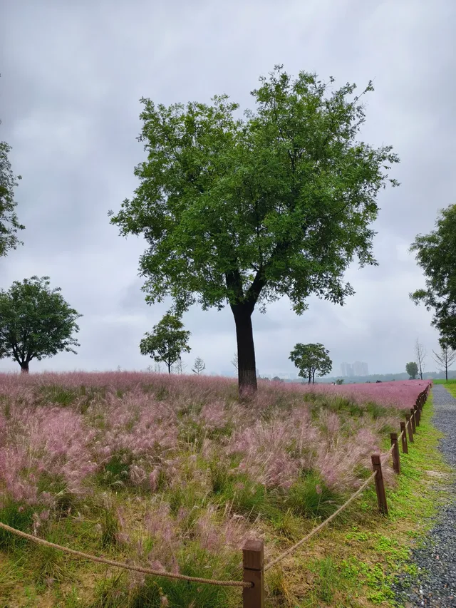 西安 國慶四天五夜遊 西安 國慶四天五夜遊