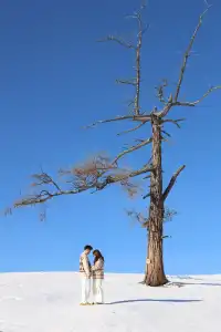 12.2 治癒日｜白哈巴→喀納斯漫遊