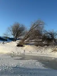 比起東北,我更喜歡機票便宜一半的烏蘭布統