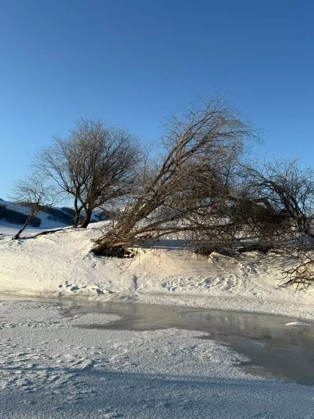 比起東北,我更喜歡機票便宜一半的烏蘭布統 比起東北,我更喜歡機票便宜一半的烏蘭布統