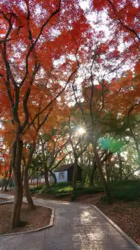 11.30植物園還是那麼有性價比 ＼(*T▽T*)／