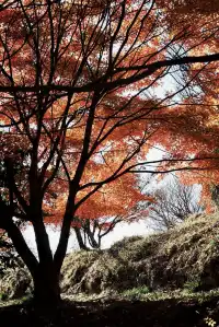 馬籠宿妻籠宿秋日遊記