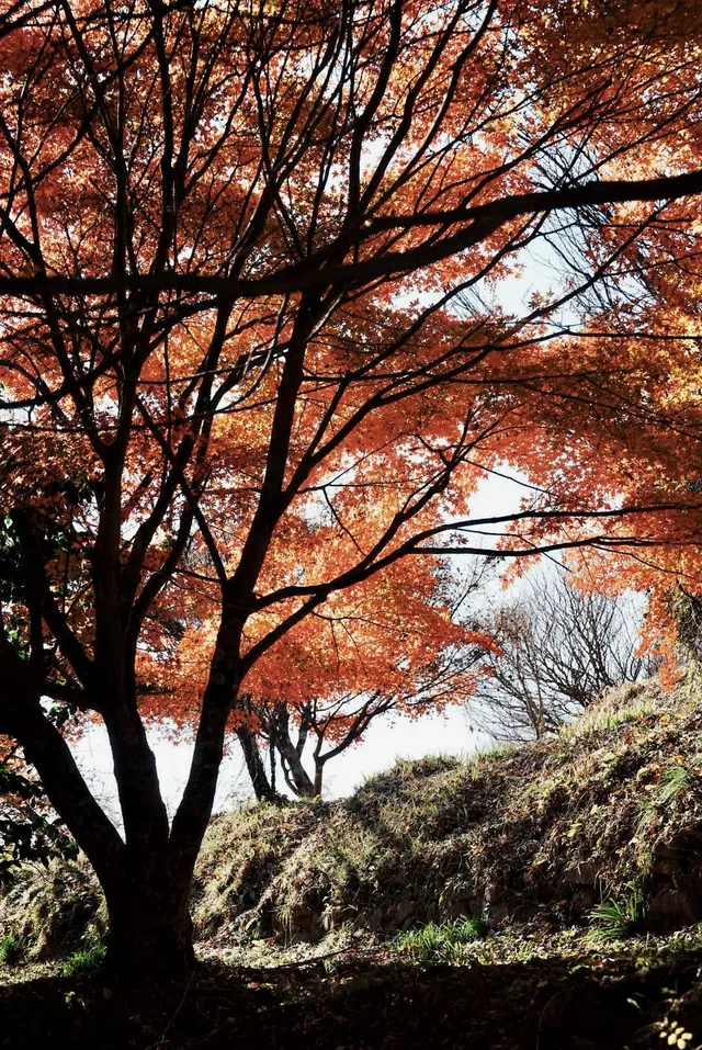 馬籠宿妻籠宿秋日遊記