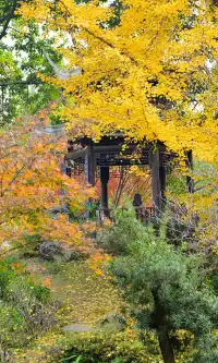 不是蘇州園林，是成都易園