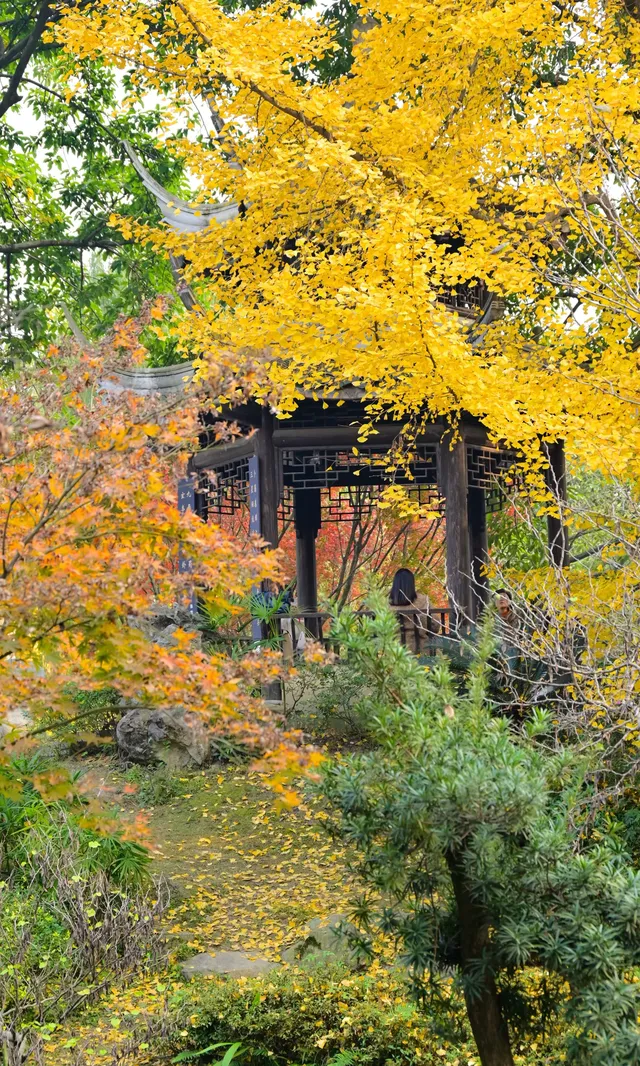 不是蘇州園林，是成都易園