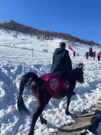 12.2新疆實況，帶錯鞋子快崩潰了