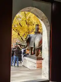 上海出發 帶娃賞秋棲霞山