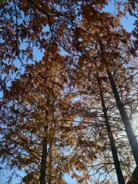 說走就走！九華山之旅