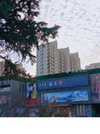 Tongliao Urban Vibes✨