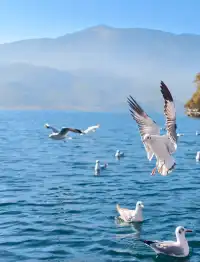 麗江瀘沽湖｜兩天一晚把晨霧+環湖玩明白了