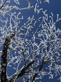 12月淡季去郴州旅遊攻略,趕緊碼住超全