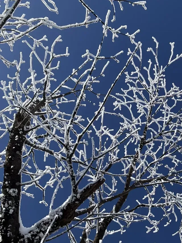 12月淡季去郴州旅遊攻略,趕緊碼住超全 12月淡季去郴州旅遊攻略,趕緊碼住超全