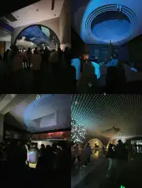 南京夜探博物館它回來了!大報恩寺攻略