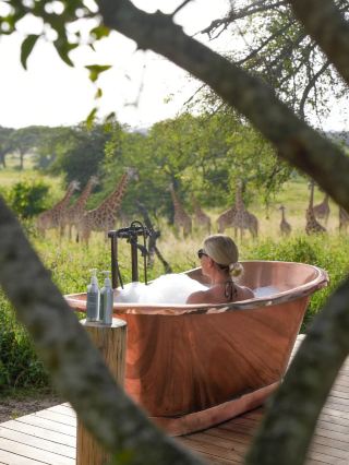 แปดวันในแทนซาเนีย ตั้งแต่เดือนพฤษภาคมถึงกันยายน! สัมผัสชีวิตจริงของสัตว์ต่างๆ!