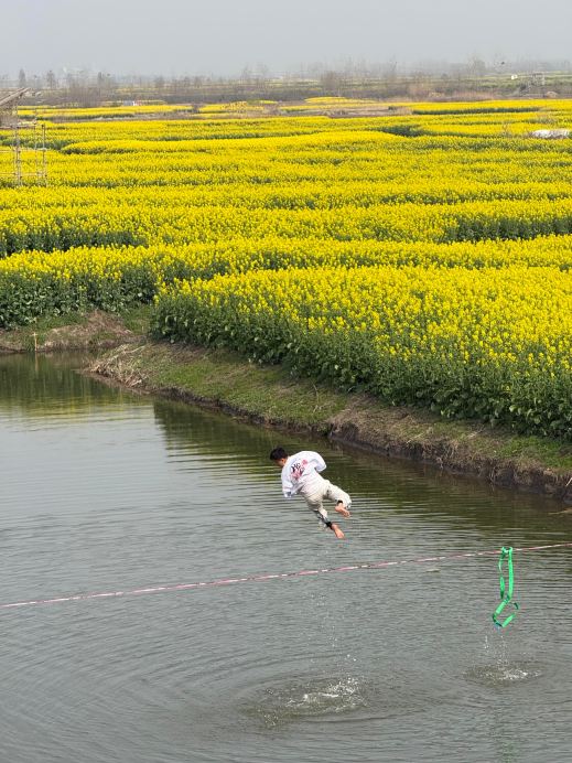 江蘇の隠れた秘境、世界で唯一の水上菜の花畑｜この花見ガイドは必見
