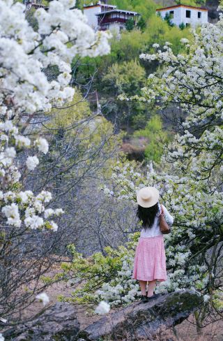 春休みは必ず行くべき！丹巴の梨の花の饗宴へ、雲上のチベット村をサイクリングで巡ろう