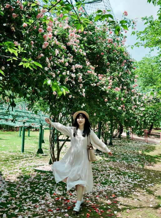 Chengdu's garden blooming with roses! It's truly a perfect photo