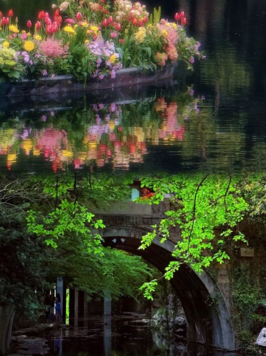 迷い込んだグリーンワンダーランド、杭州青山湖水上森林の美しさに言葉