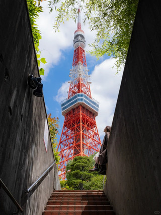 東京｜一半古寺煙火，一半賽博霓虹