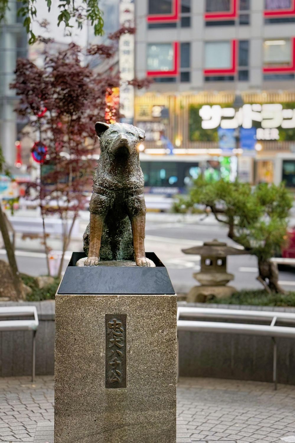 Shibuya's Hachiko Statue | Trip.com Tokyo