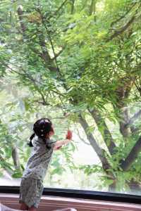 藏喺南山嘅「小峇里」帶小朋友過暑假真係一流！