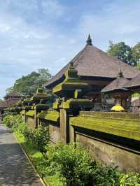 🌿 The Peaceful Side of Bali: Ubud Rice Fields, Rainy Evenings & A Stay Surrounded by Nature 🇮🇩