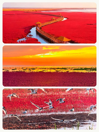 私藏!秋天8個小眾地,省心又省錢