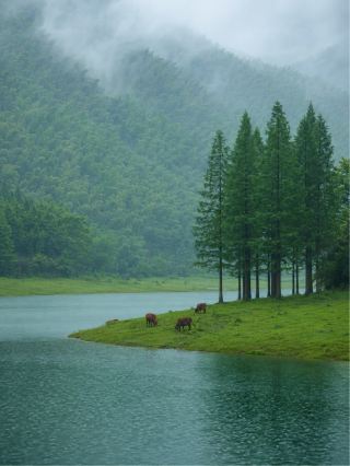 Zhejiang Altay | Xiaohangkeng · natural healing spot in the wild!!