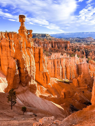 Chartered Tours Around Las Vegas