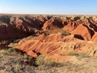 Epic Dino Discoveries & Wild Canyons: My Inner Mongolia Adventure 🦕🌄