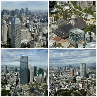 東京鐵塔之巔:親歷超級大都會的震撼景觀