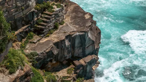Who wouldn't fall in love with Sydney? — traveler post in Sydney