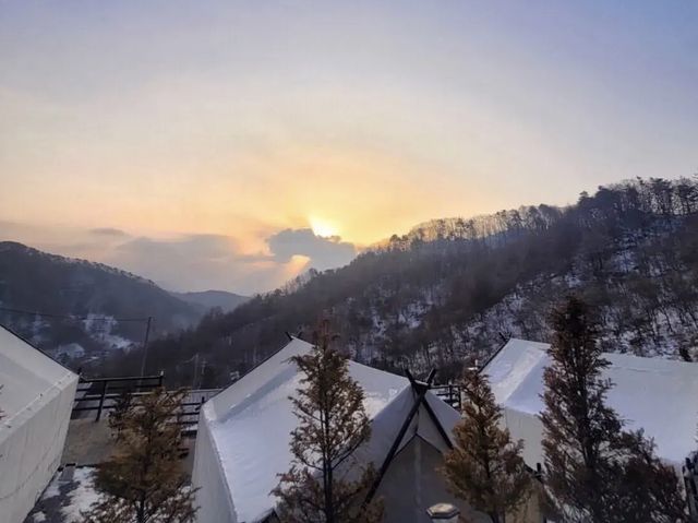 강원도 평창 깊은 해발 780m 눈보며 하는 글램핑