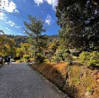 Day trip to Arashiyama- Japan