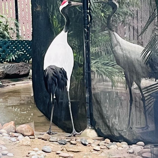 香港動植物園-給自己最美的大自然的饗宴