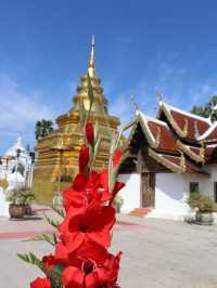 วัดพระธาตุศรีจอมทองวรวิหาร พระธาตุประจำปีชวด