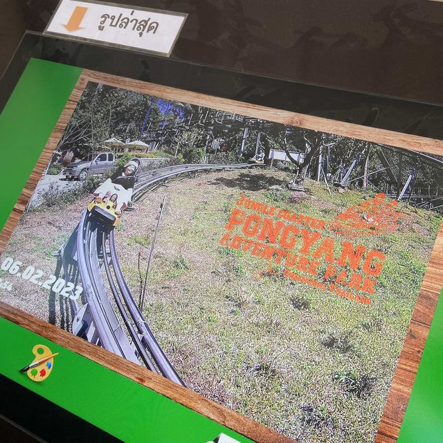Pongyang Zipline and Jungle Coaster