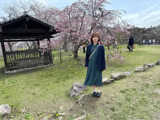 【福岡】福岡城で花見🌸