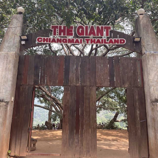 거대한 나무와 마운틴뷰를 즐길 수 있는 The giant chiang mai thailand cafe
