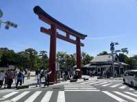 漫遊鎌倉｜小町通商店逛街採買、鶴岡八幡宮參拜