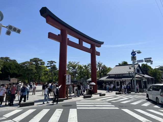 漫遊鎌倉｜小町通商店逛街採買、鶴岡八幡宮參拜